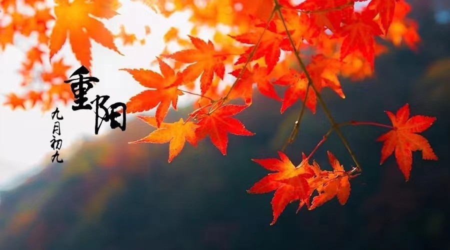 微信图片_20221001115840