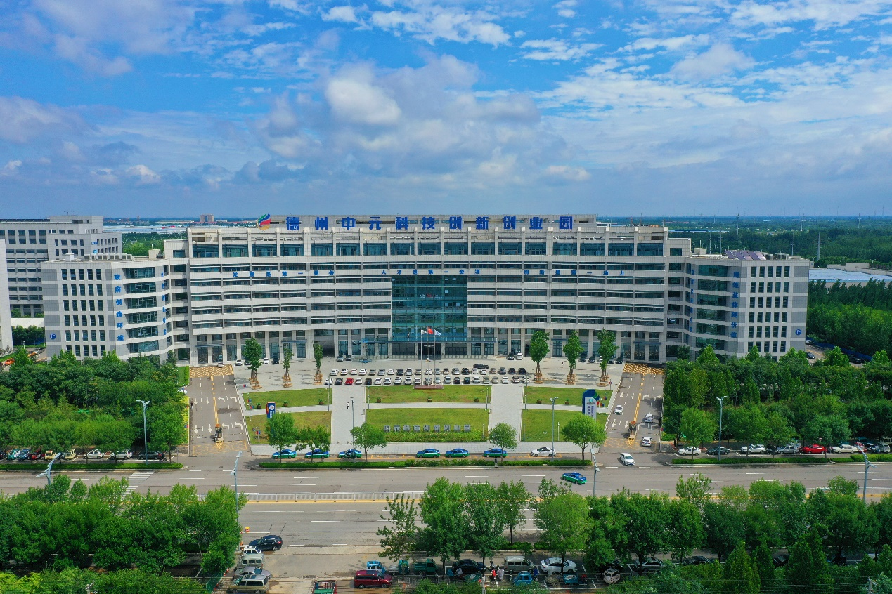 图片4