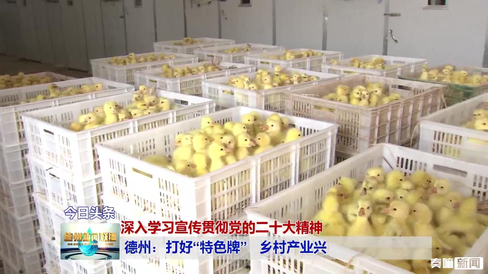 1德州:打好“特色牌”