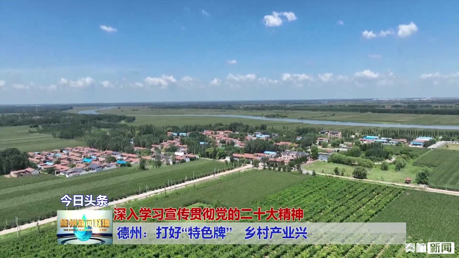 1德州:打好“特色牌”