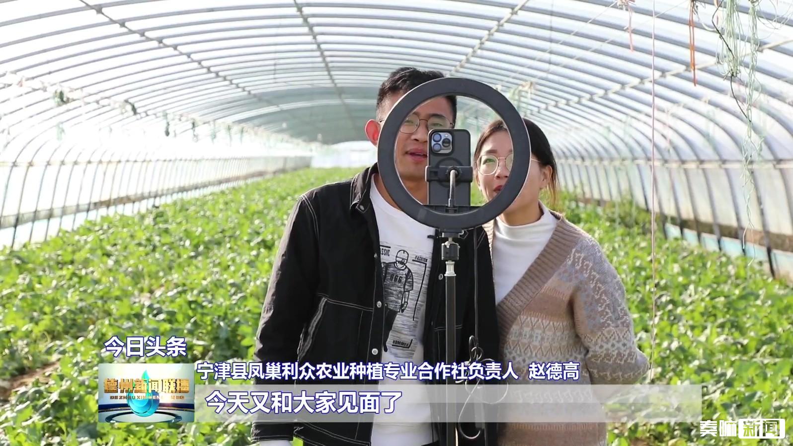 1德州:打好“特色牌”