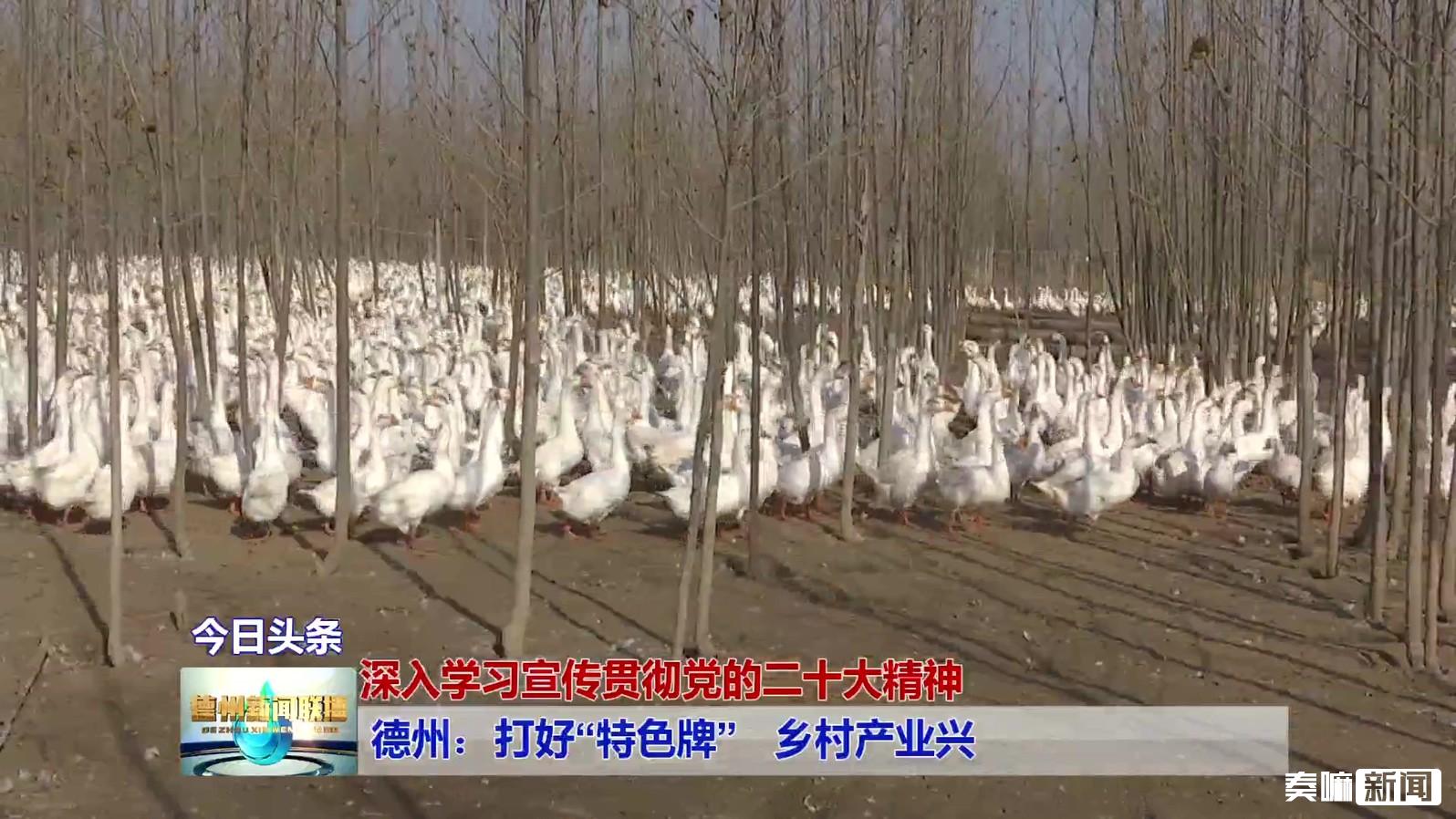 1德州:打好“特色牌”