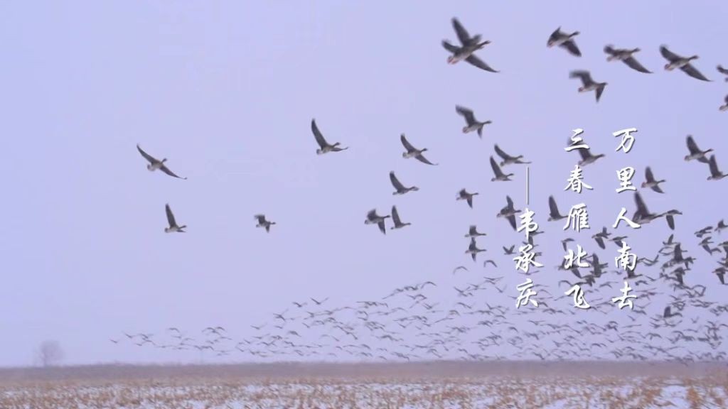 微信图片_20230105182052