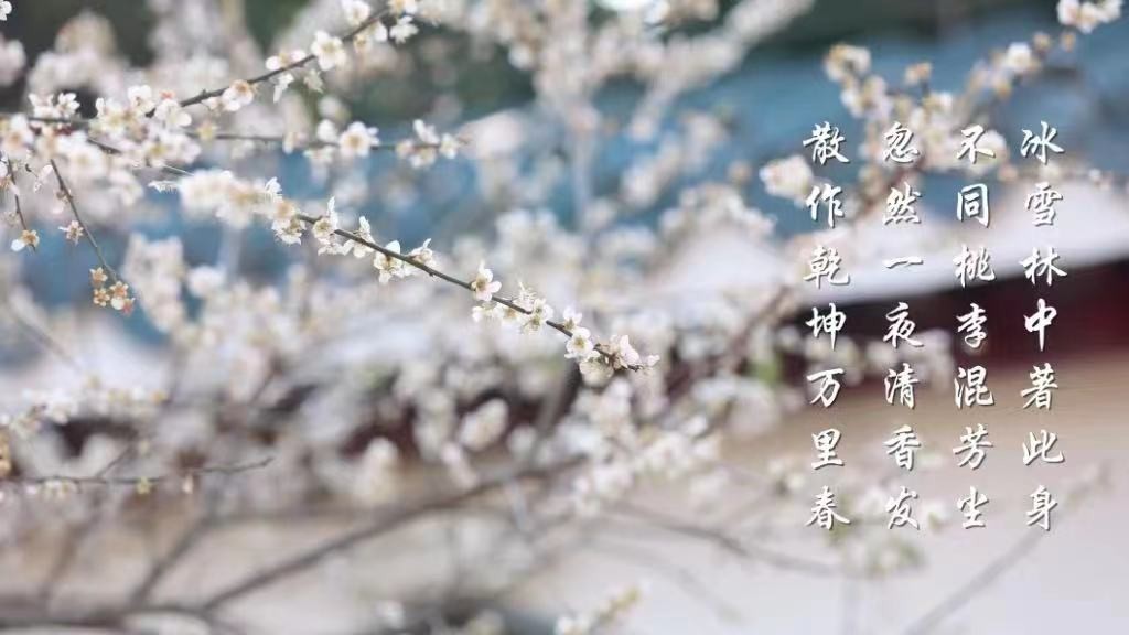 微信图片_20230105182049