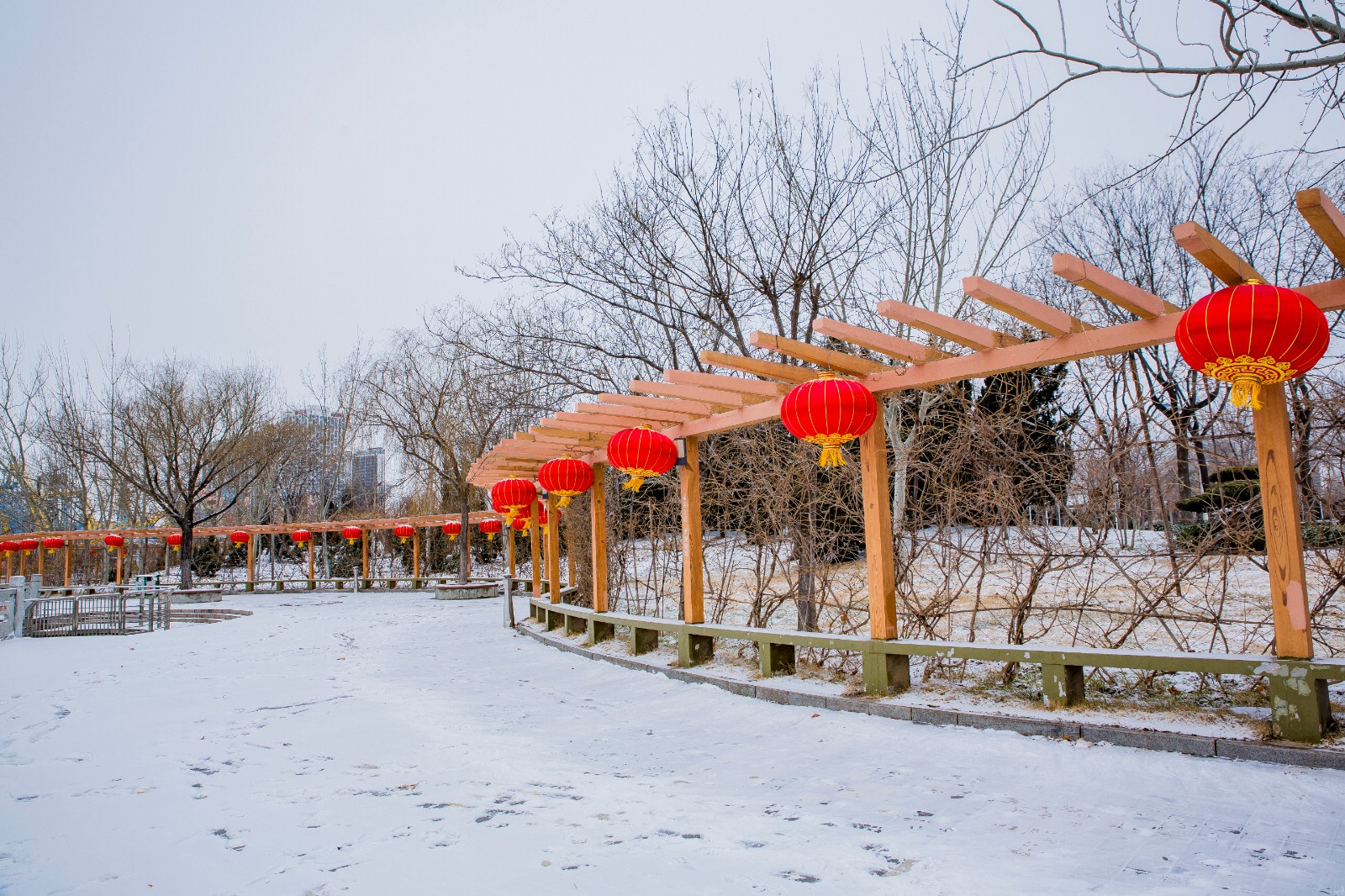 瑞雪逢小年纳福迎新春