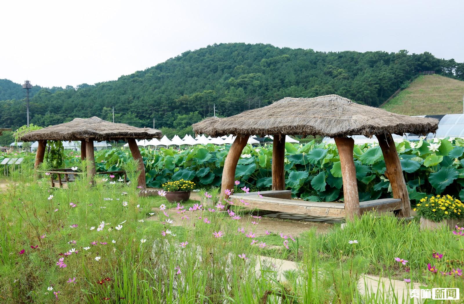 外国友人大拜年韩国始兴市市长任炳泽送来新春祝福