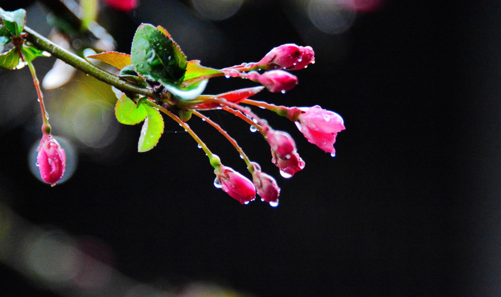 微信图片_20230203170425