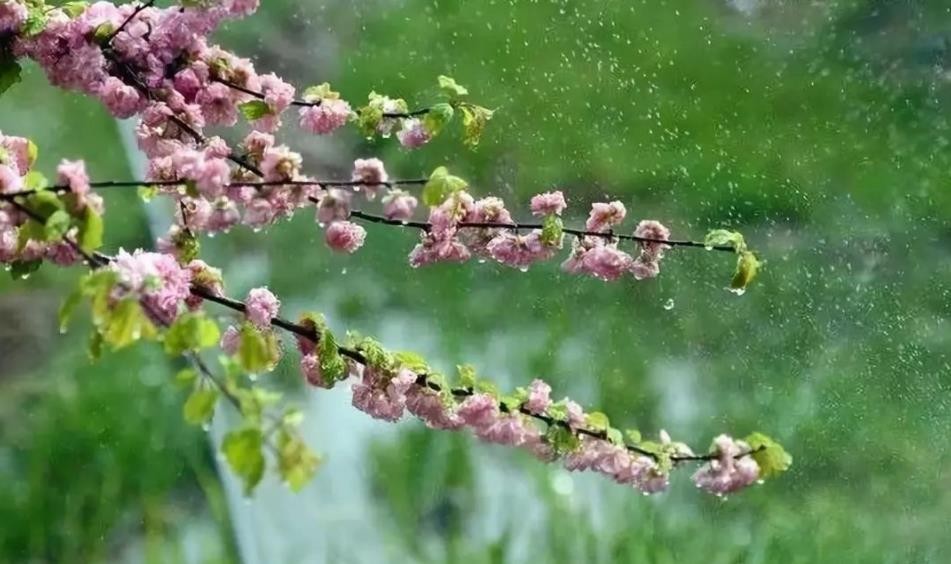 微信截图_20230203170437