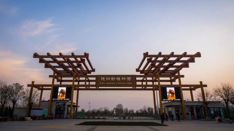 好消息!德州动植物园双十一当天免费开放