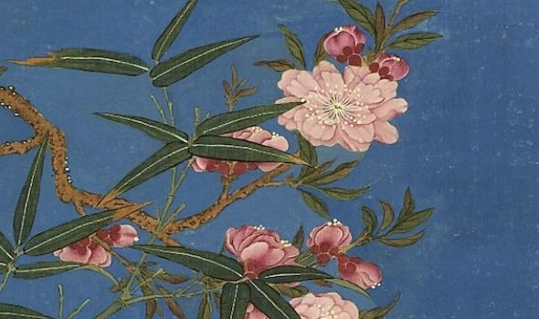 赏花去!桃李杏樱梅让你一次分清…看花不再脸盲!
