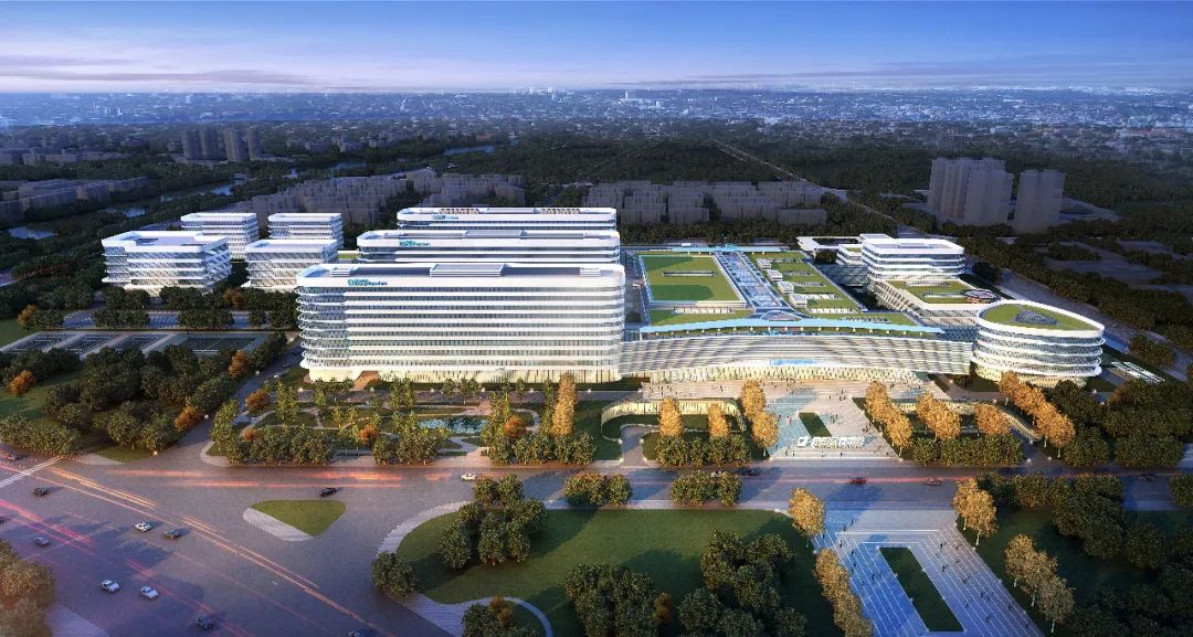 山东大学齐鲁医院德州医院召开第八届职工代表大会第二次会议第八届