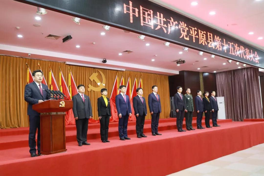 聚焦党代会市党代表平原县委书记王玉东对表对标抓攻坚创先创优开新篇