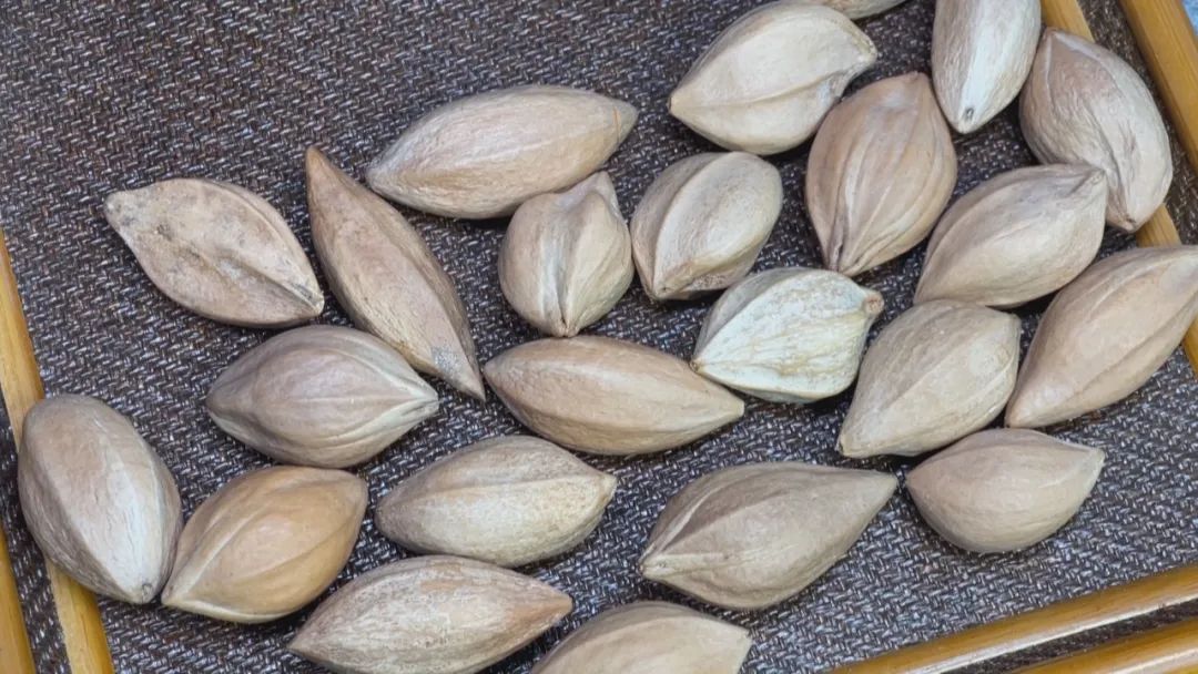 德州手造当异形果核遇上创意雕工看核雕匠人小刀下的大乾坤