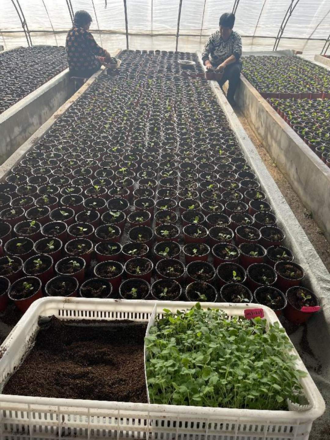 1690788700656754.png?x-oss-process=style/w10 image.png?x-oss-process=style/w10