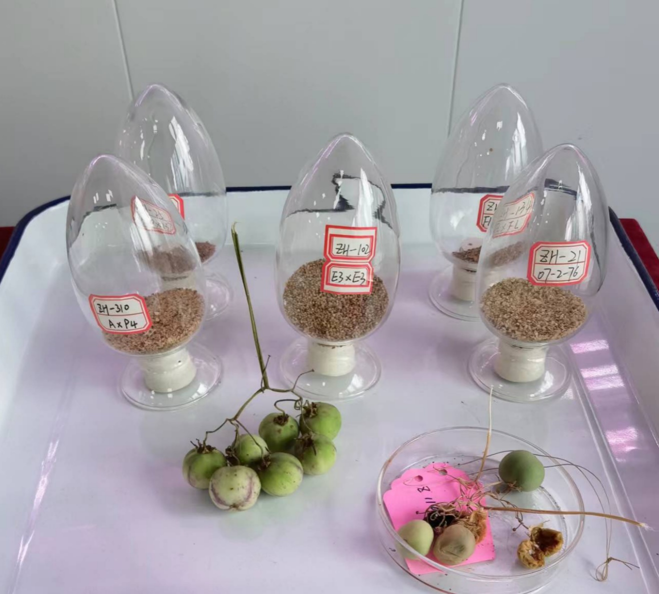 1690788648223797.png?x-oss-process=style/w10 image.png?x-oss-process=style/w10