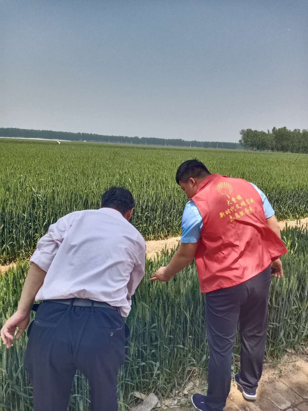 微信图片_20200522171517