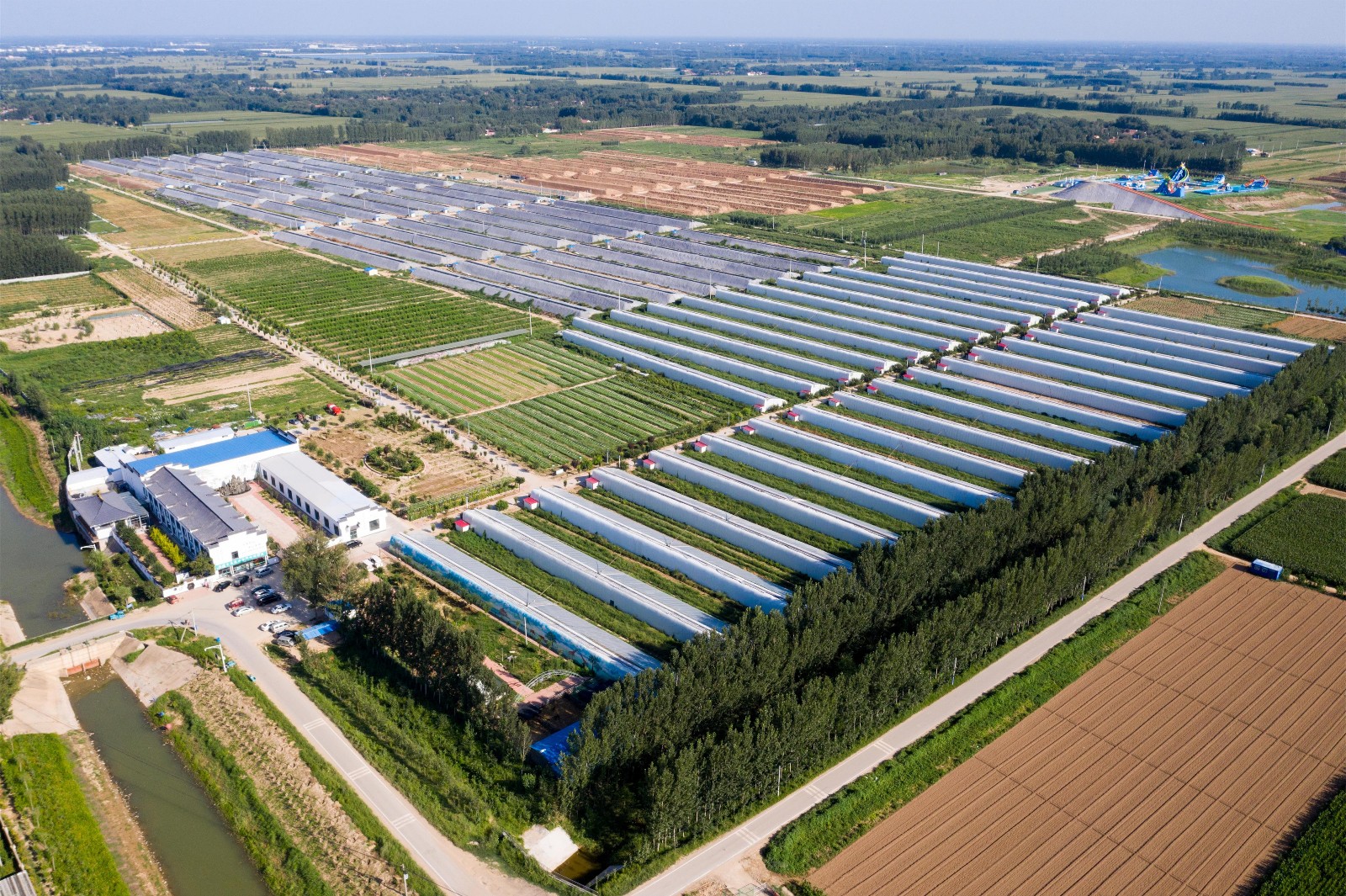 位于宁津县保店镇的金硕生态农业产业园