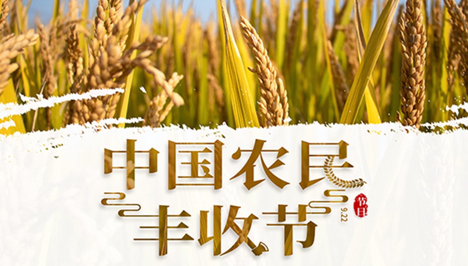章丘庆祝中国农民丰收节新时代文明实践八个一系列活动全面启动