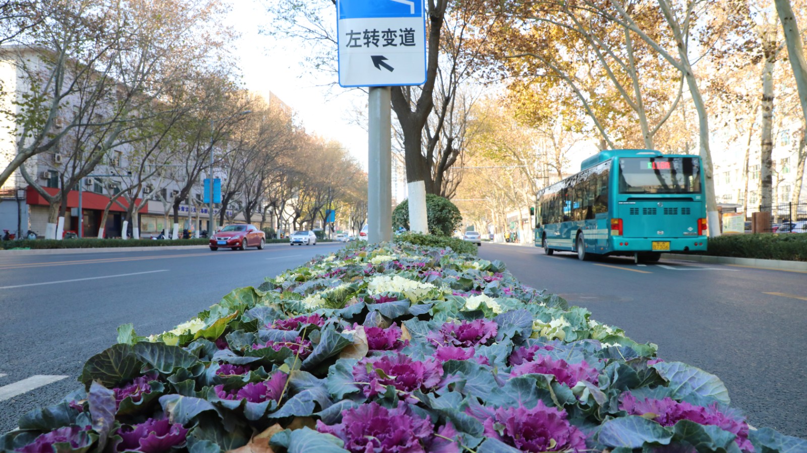微信图片_202012161747312