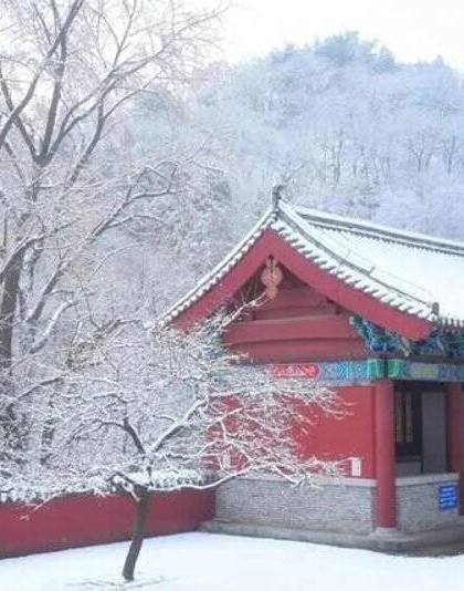 雪后初霁，泰山玉泉寺美景如画