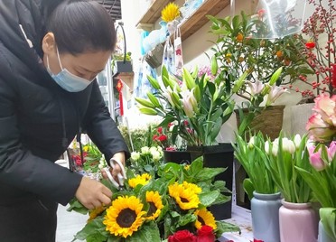 潍坊：鲜花价格上涨明显，销售遇冷