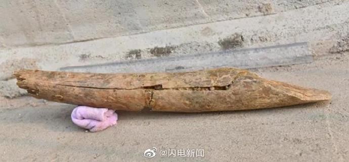 70e081fbly1gwq7dxcmp1j20ks09omxy