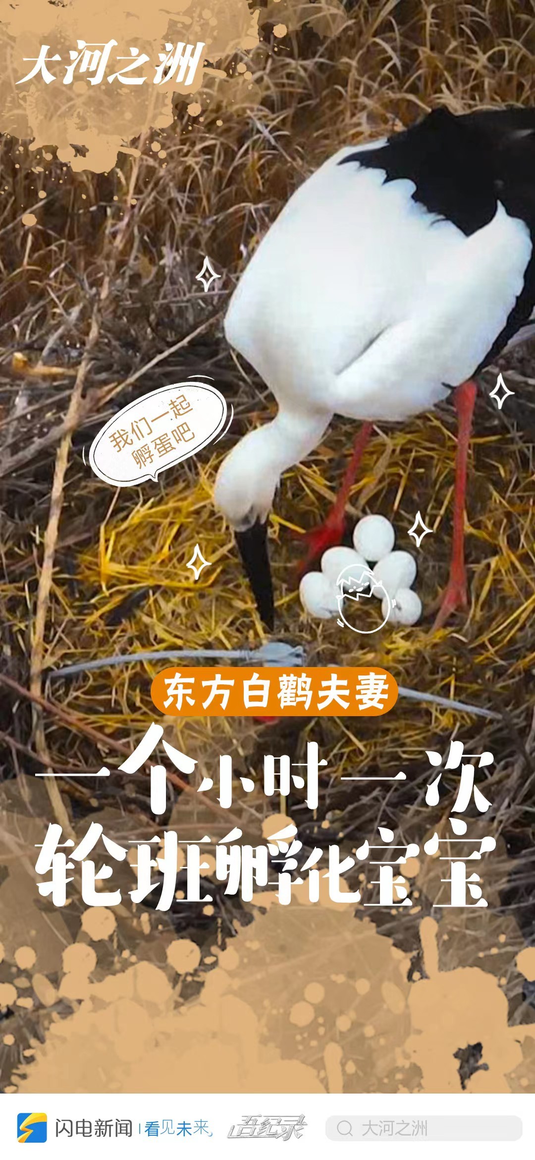 微信圖片_20221021205817
