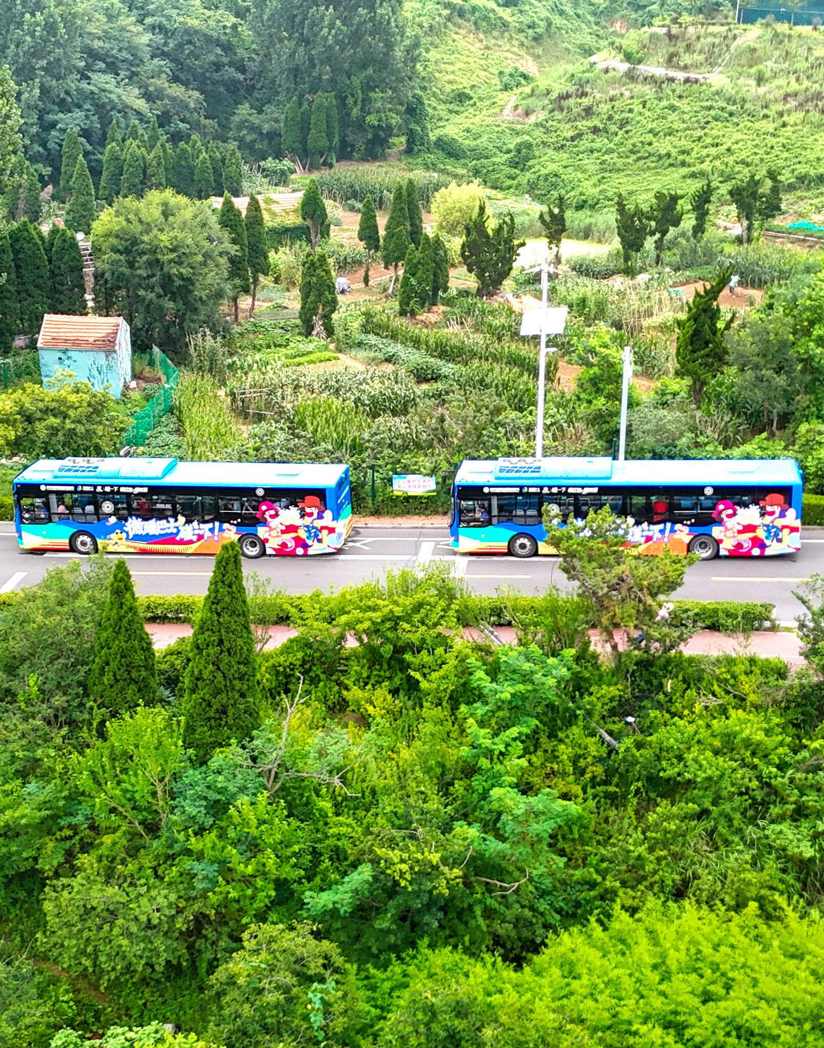 青岛“微醺巴士”开拓文旅消费新场景