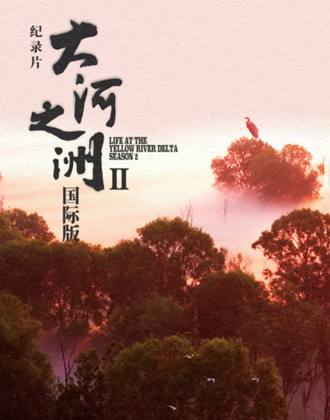 纪录片《大河之洲》第二季国际版倒计时2天！