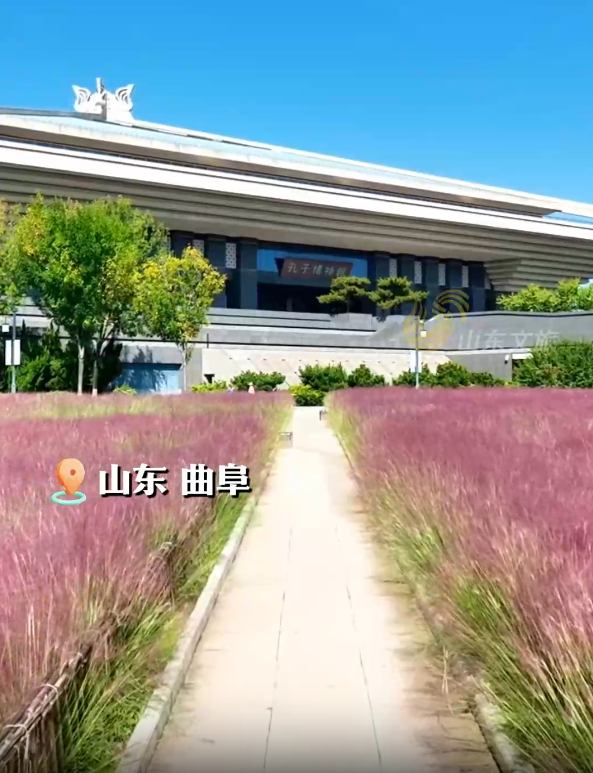 国庆“打卡地”！来孔子博物馆 邂逅粉黛花海
