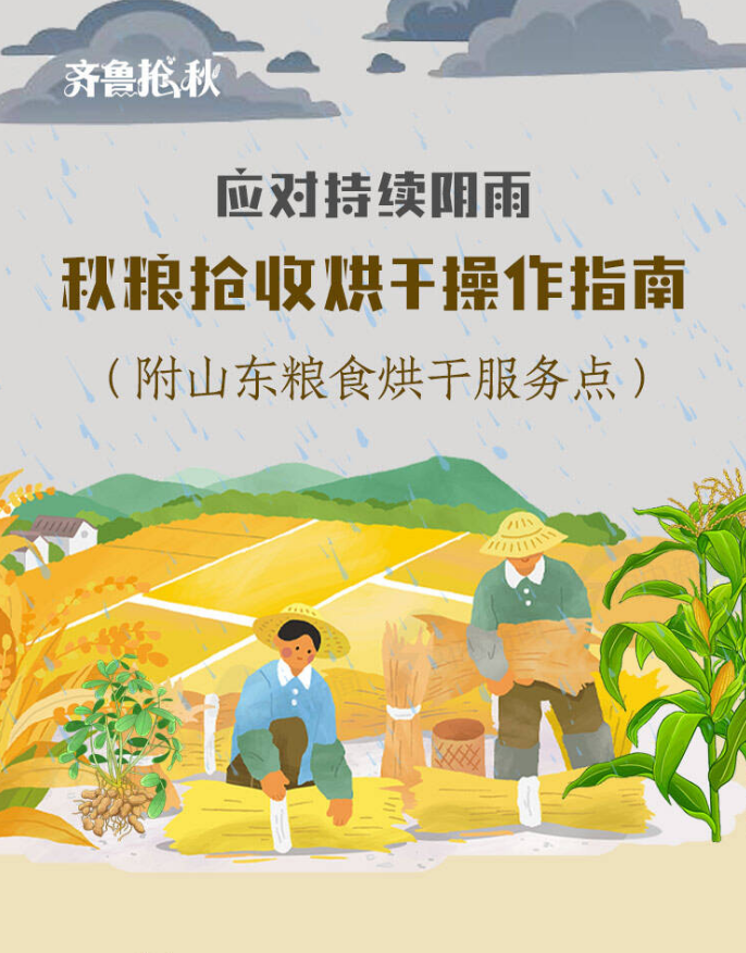 秋粮抢收烘干操作指南来啦 附山东粮食烘干服务点