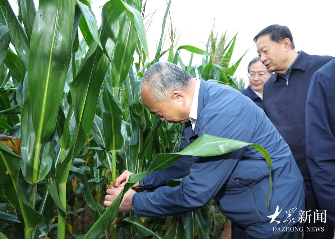 1760091431xgo9a7c6leimage