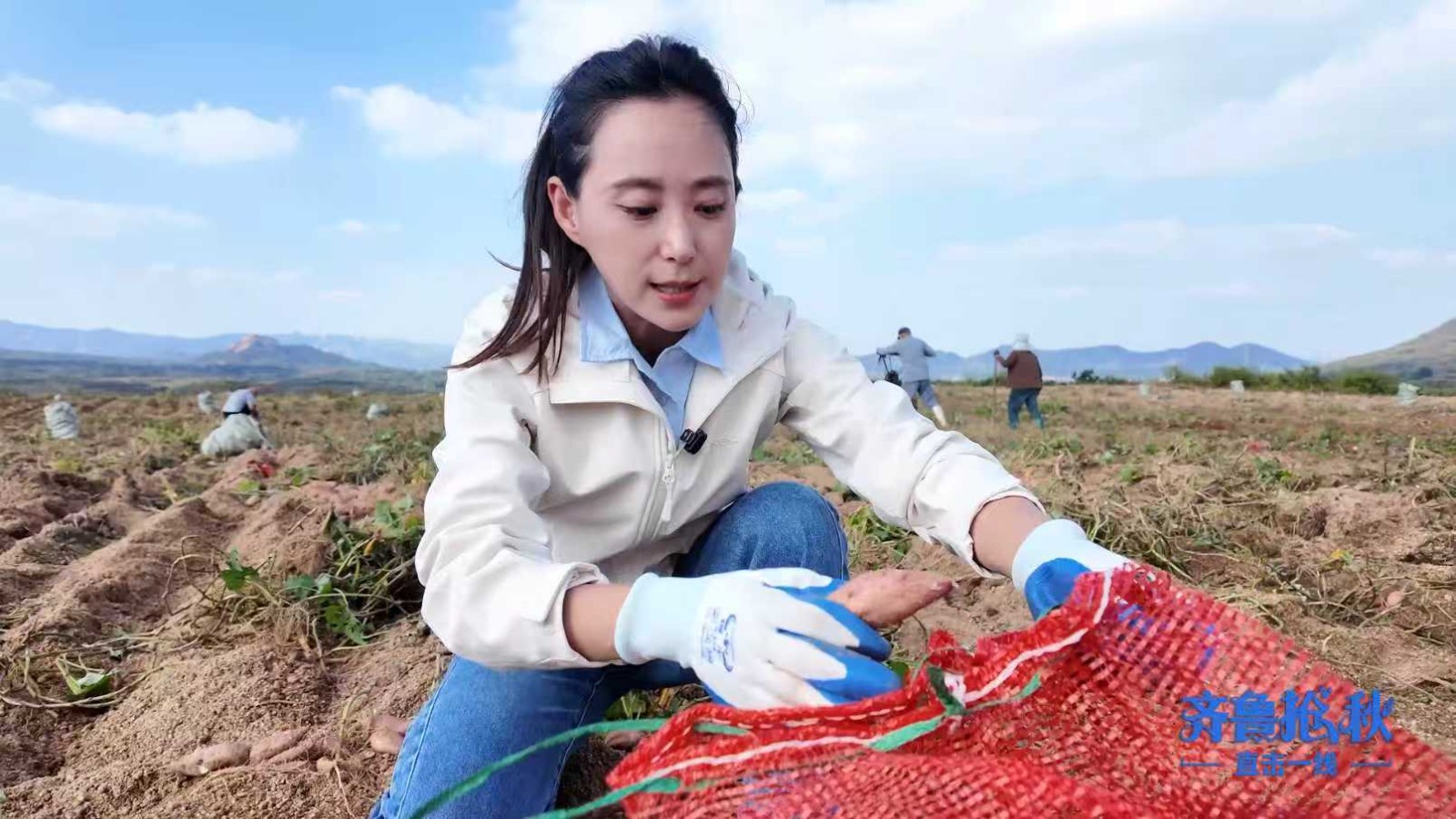 齐鲁“抢秋”·直击一线丨抢晴！山东日照田间刨薯守护“淀粉仓”
