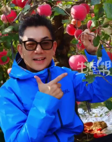 任贤齐在烟台举办演唱会 特意去果园采摘新鲜苹果