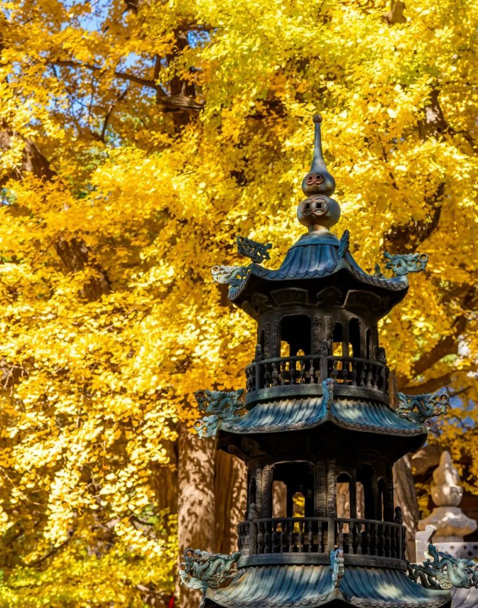 一大波美图来袭！泰山景区9个赏秋地超出片