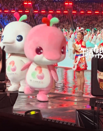 2025全運會 “大灣雞”成全運會頂流