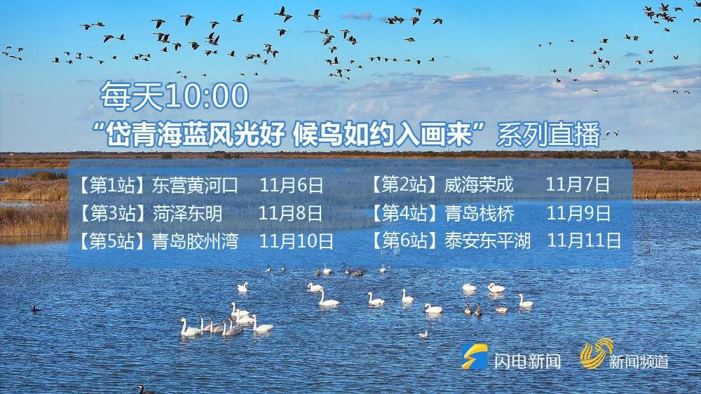 “岱青海藍風光好 候鳥如約入畫來”特別直播