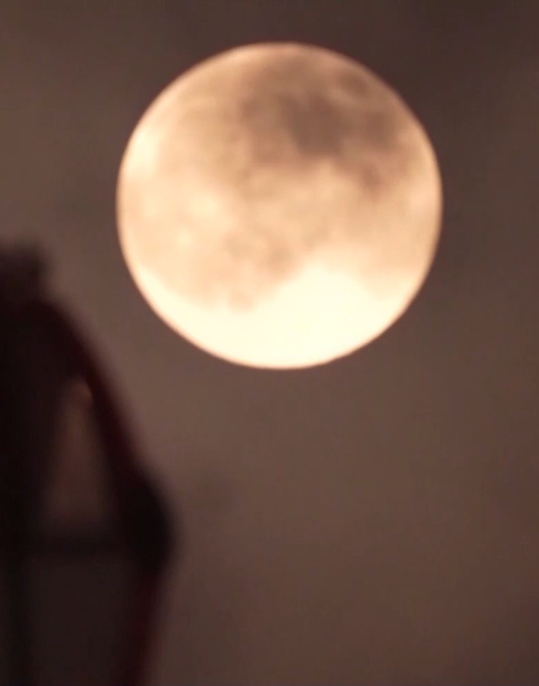 超级月亮、流星雨、星月童话 本月“天象大戏”轮番上演