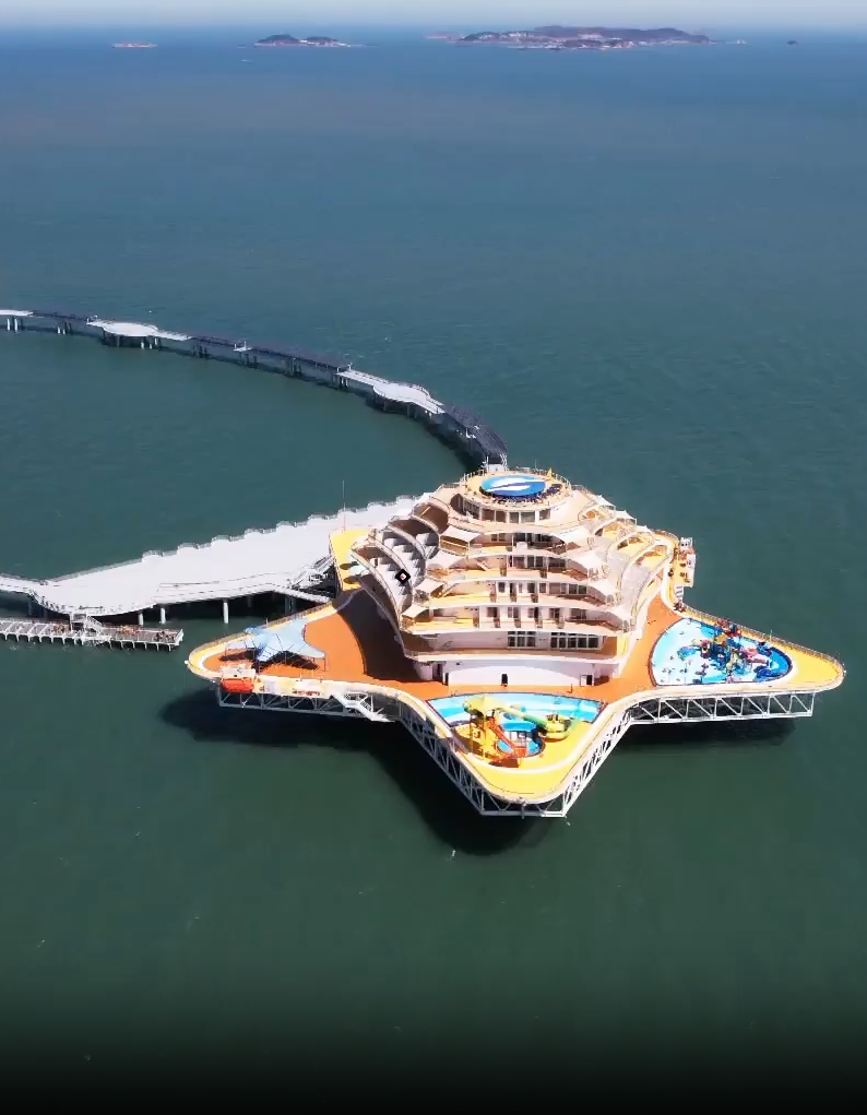 牢记嘱托·逐梦深蓝｜山东造出这些海上“大家伙”