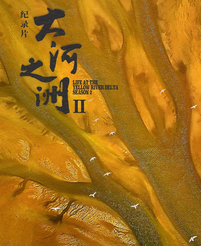 《大河之洲》第二季入选2025年度优质纪录片