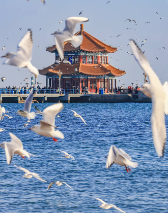 看候鳥、逛大集……在山東，冬天這樣玩