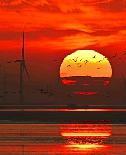 我国离岸最远海上风电项目实现全容量并网