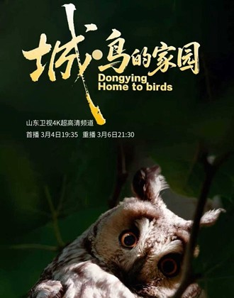 纪录片《城•鸟的家园》3月4日在山东卫视首播
