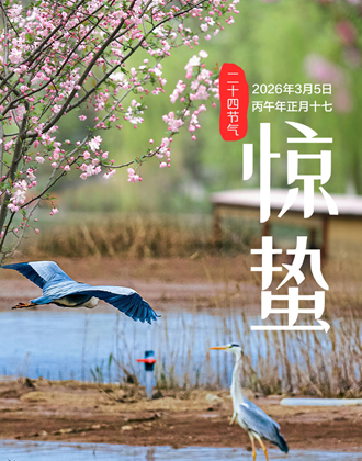 闪电海报丨今日惊蛰，风含情水含笑，春回万物生