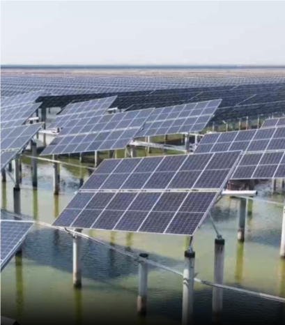 鲁北盐碱滩：建起“绿色充电宝”