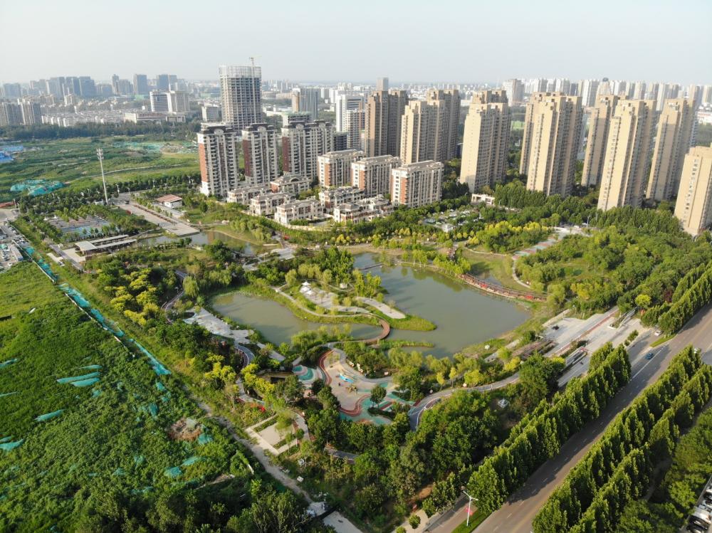 德州月湖公园园林科普活动来袭 揭秘花草树木的“脾气秉性”