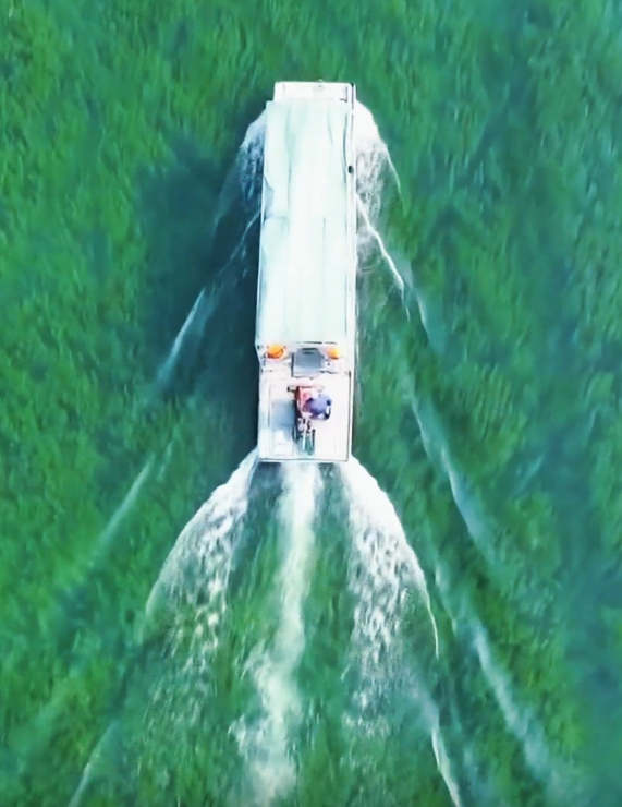 微山湖深处藏秘境！在独山湾遇见水下森林