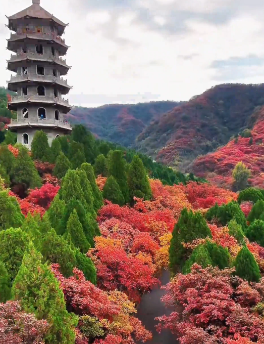 先码住！山东秋色收藏夹 定格秋日浪漫