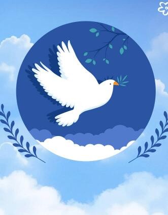 国际和平日｜每个人，都可以为和平贡献自己的力量