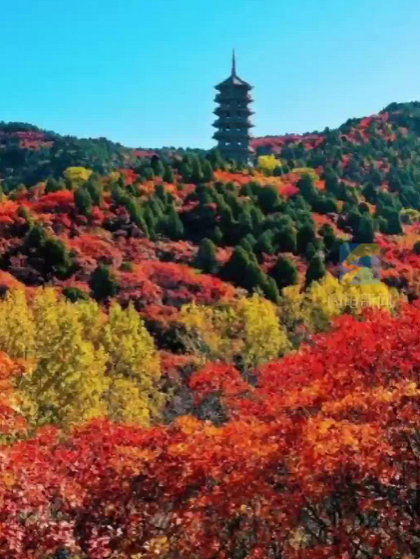 秋天的山东到底有多美？看完想立刻出发